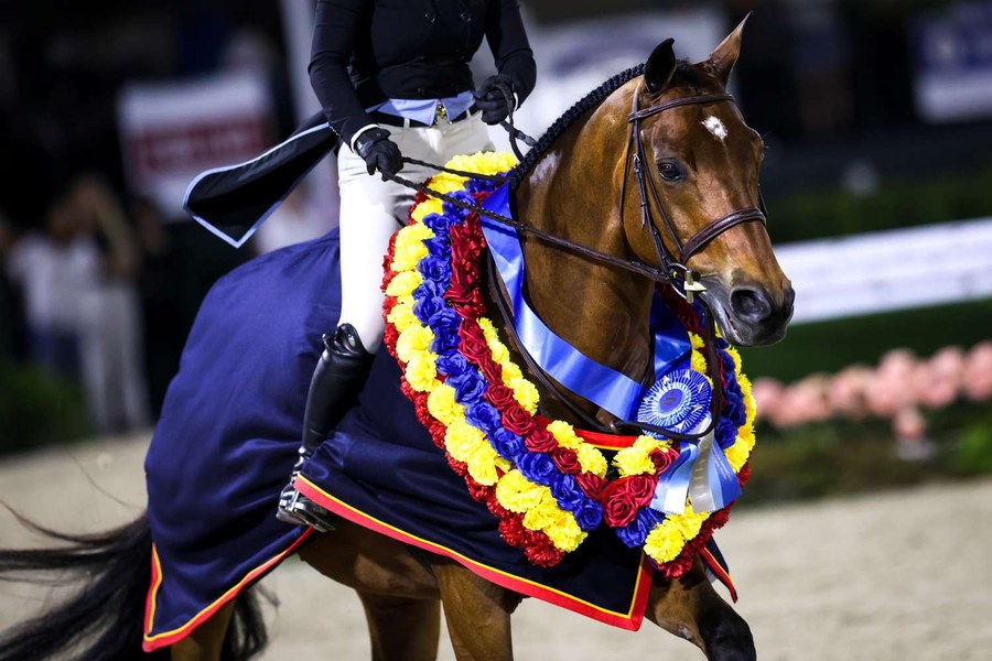 Wellington luxury horse barn interior